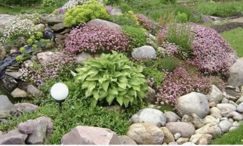 ��� ��������� ������������ ������������ ����� ��� �������� ���������� �����: ����� � ������