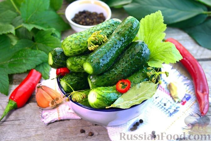 Малосольные огурцы: рецепты на лето и не только