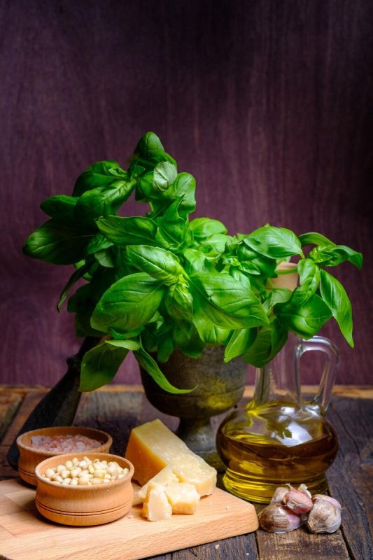 Изысканный соус песто с ароматом базилика