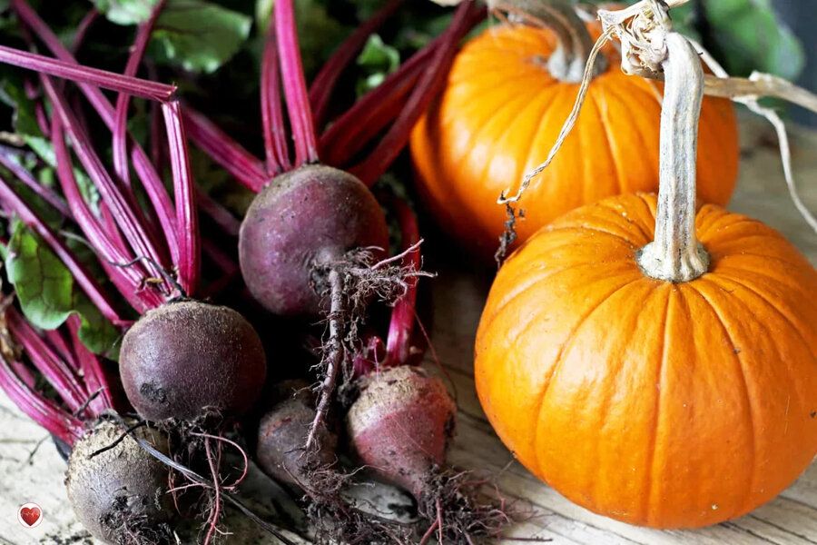 ������� �����: �������� � ������� ��������� �������