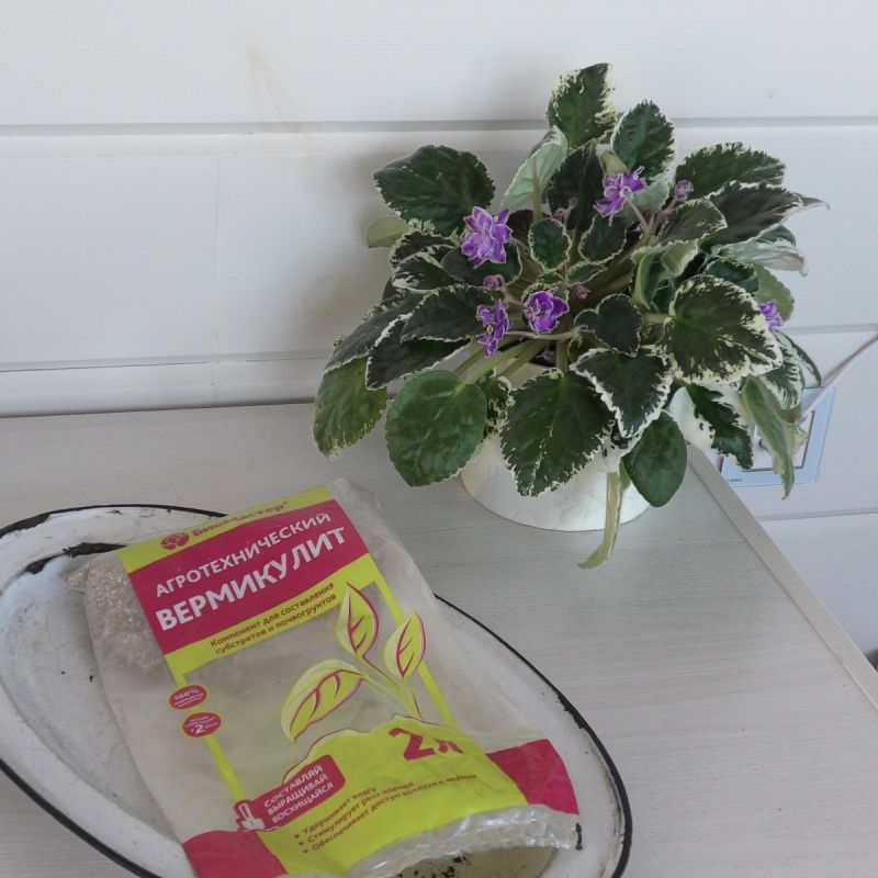 ����������: ���������� ������� ��� ������ ���� � ����