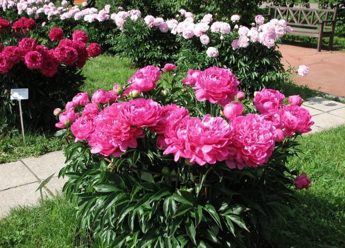 ��� ���������� � ���������� �������� �� ������