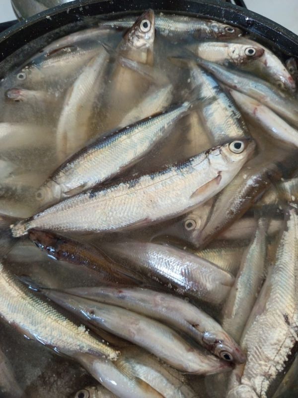 ��� ����������� ������� ��������� ������ �����: �� ����� I �� ����������� ���������