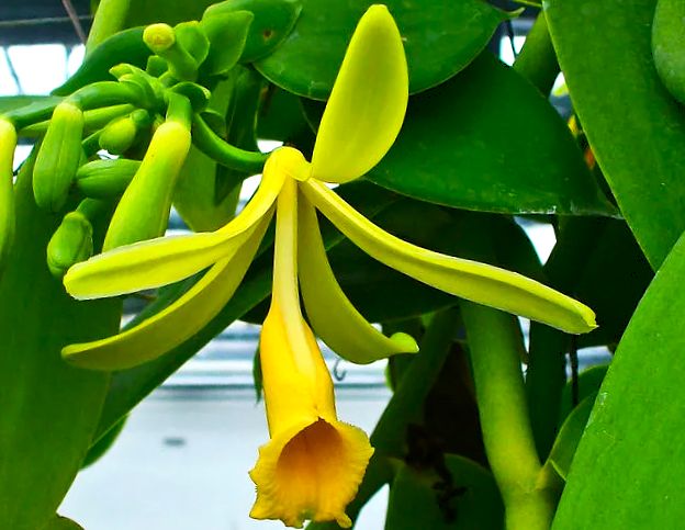 ������: �� ����������� ����� �� ��������� ��������