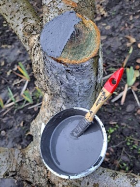 ��� ��������� ���������� � ������ ��������: ������ ������ �� ����������� ���