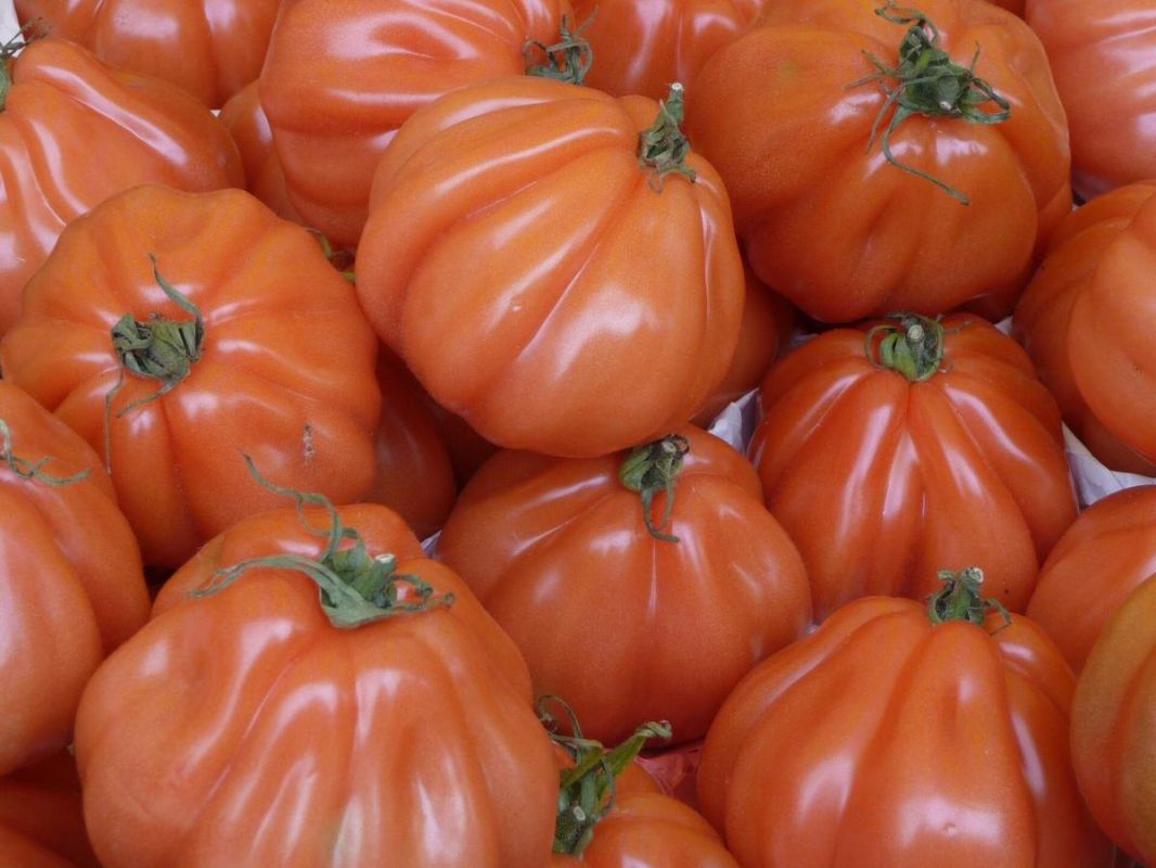 ������ � ��������: ��� ����������� ��������� ����� ��� ������� ������