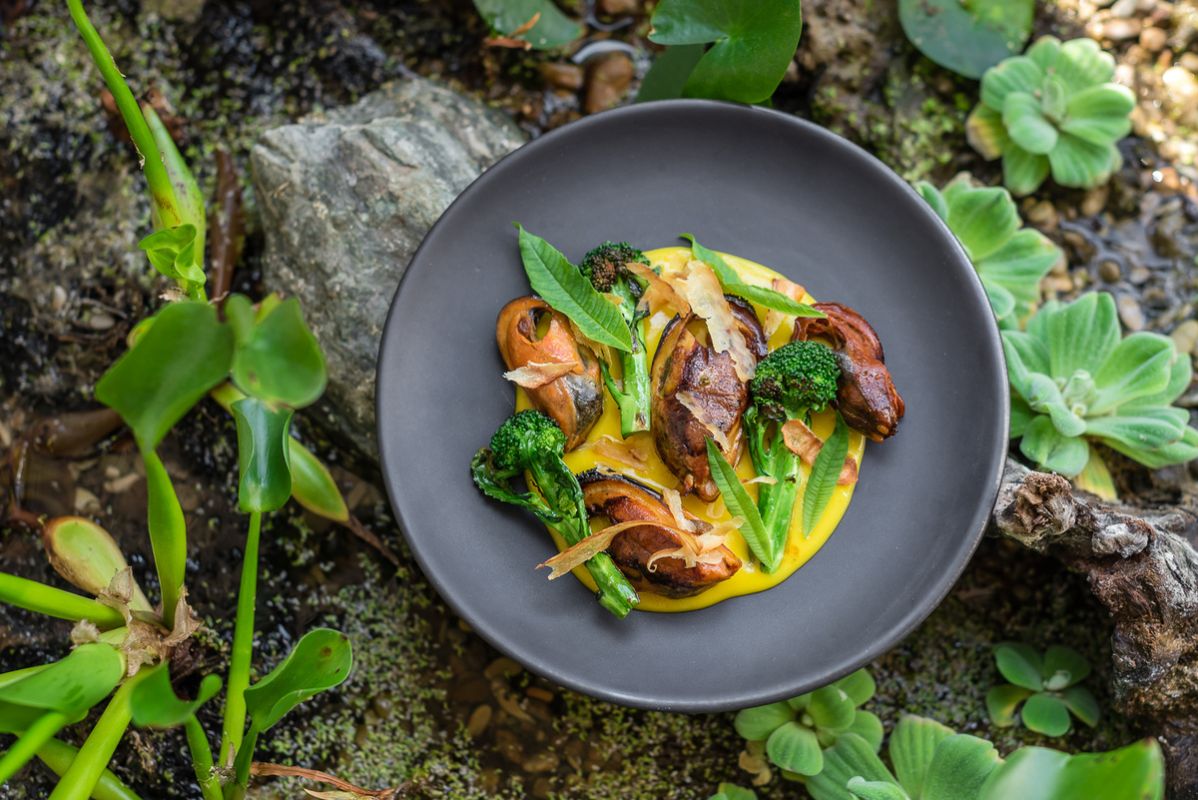 ��������� ���������� �����������: ������� ��� �� ����