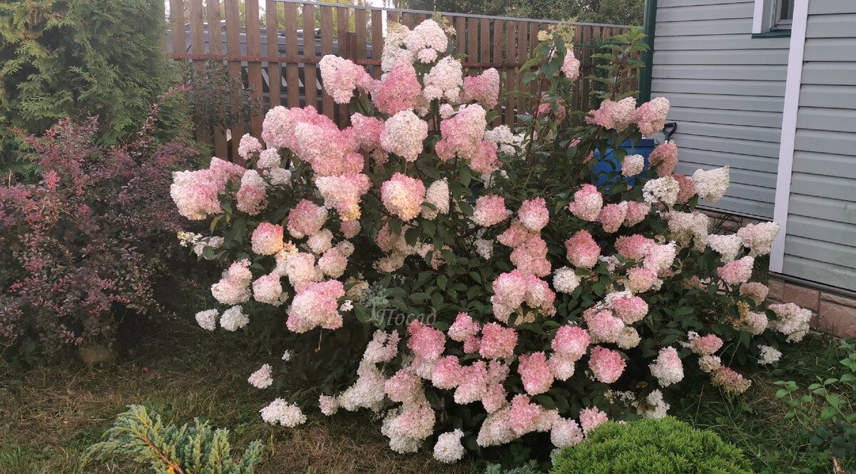 ������ ���� ��������� �� ������ �������?