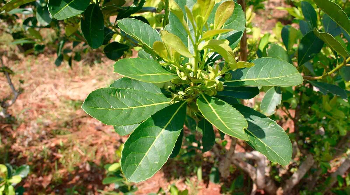 ����: �������� ����� ������� � ������ ������