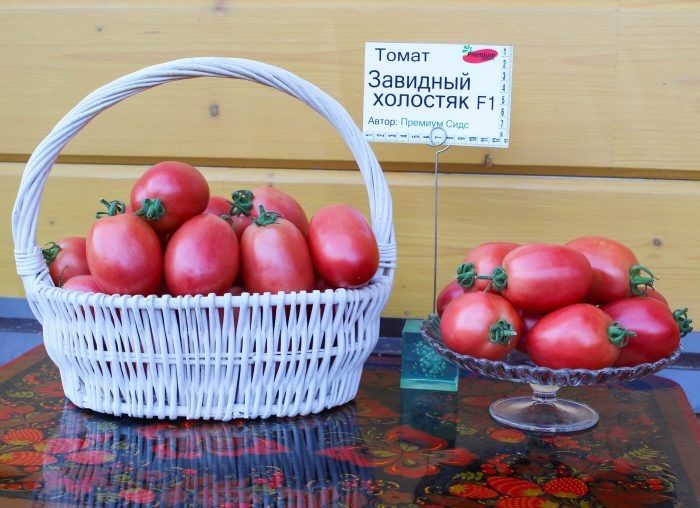 Томат завидный холостяк: идеальный выбор для консервации и не только