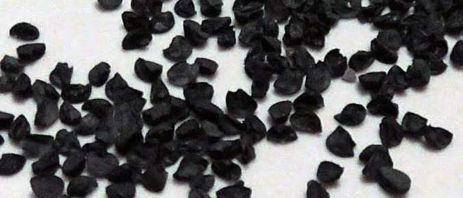 ��� �� �����: ������� ��������� ������� �����������