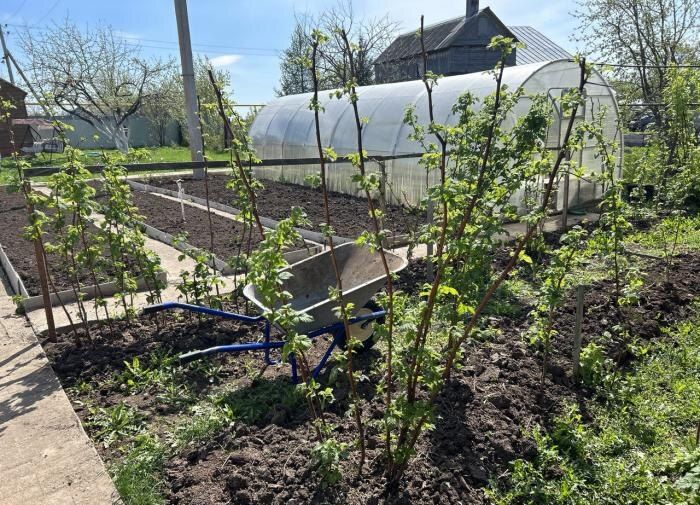 ��������� ����: ���� ��� ���� ��� ������ ����?