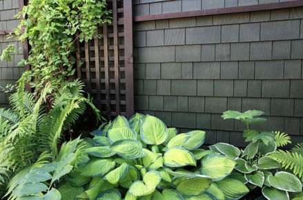 ��� ��������� ����� � ����: ��������� �������� ��� ���������� ��������