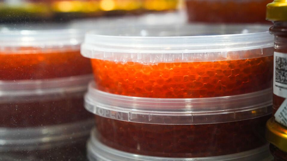 ��� ����� ����� ������� ������� ����: ������ �� ��������������