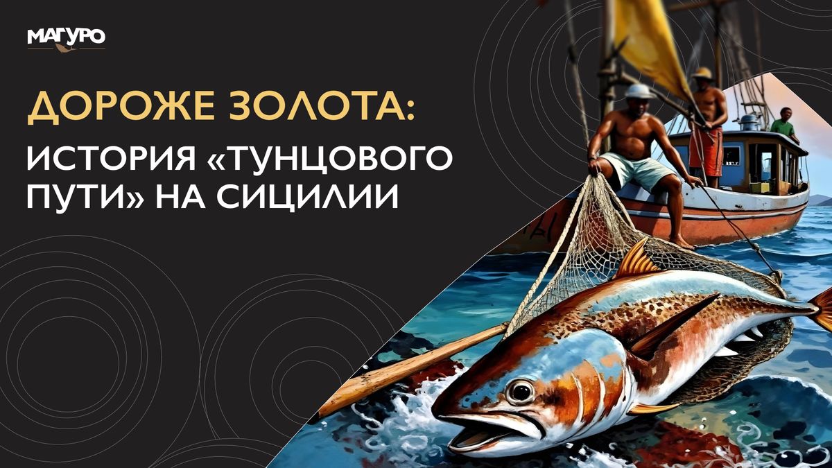 ��� ����� ���� ������� ���������� �� �������