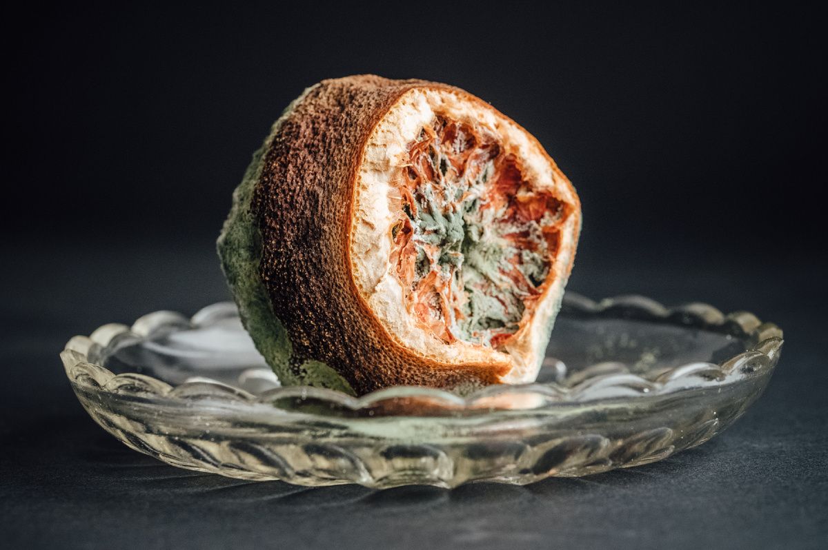 ��� ������� ����� �������� ������ ��������