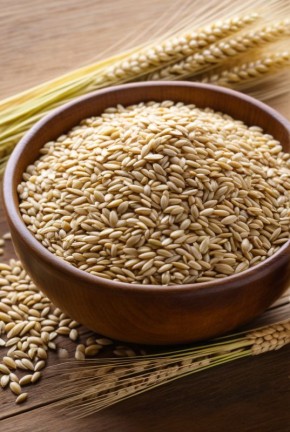 ������� �����: �������� �������� � ������� �������������