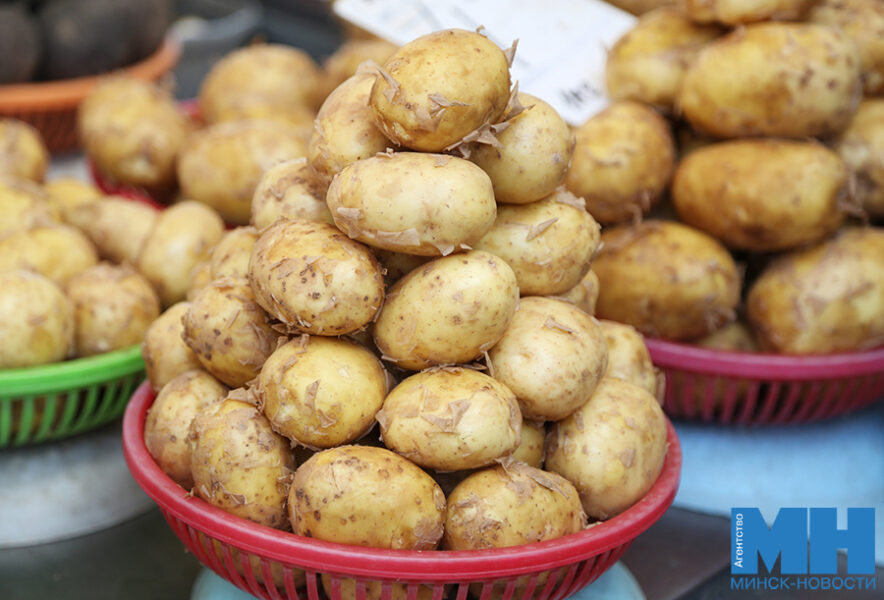 Качество картофеля под защитой: в Беларуси обновили стандарты