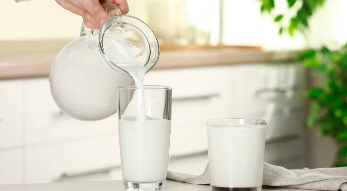 Продукты, которые переполнены кальцием: 7 удивительных альтернатив молоку