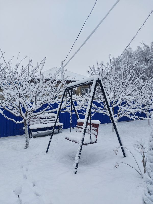 Секреты новогоднего стола: как мы встречали 2026 год