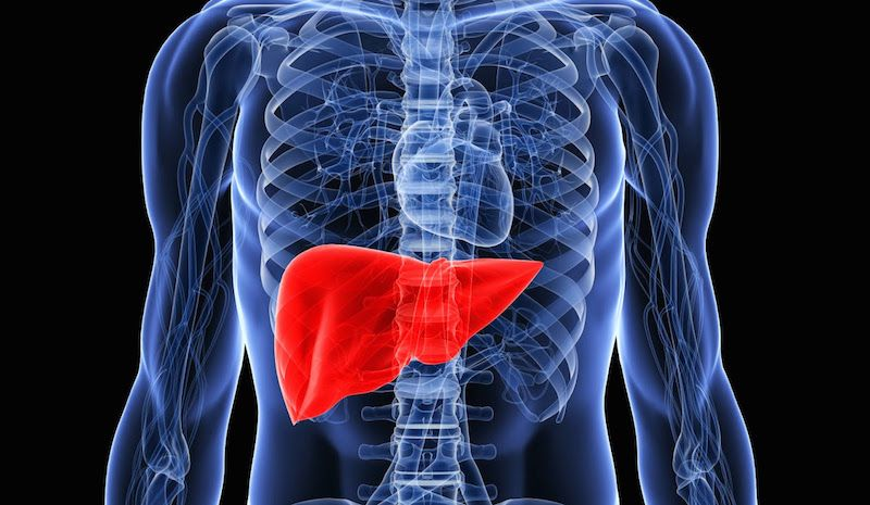 Как подарить печени вторую жизнь: 7 полезных продуктов для здоровья