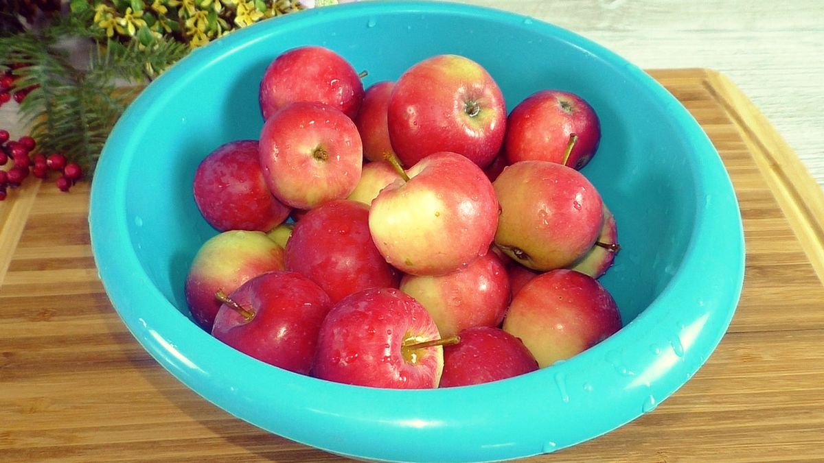 ����� ��� ��������� ��������: ������ � ������� ������ � ��������