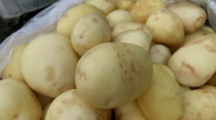 ��������� ���: �������� ����� ��� �������� ������� � ������� �����������