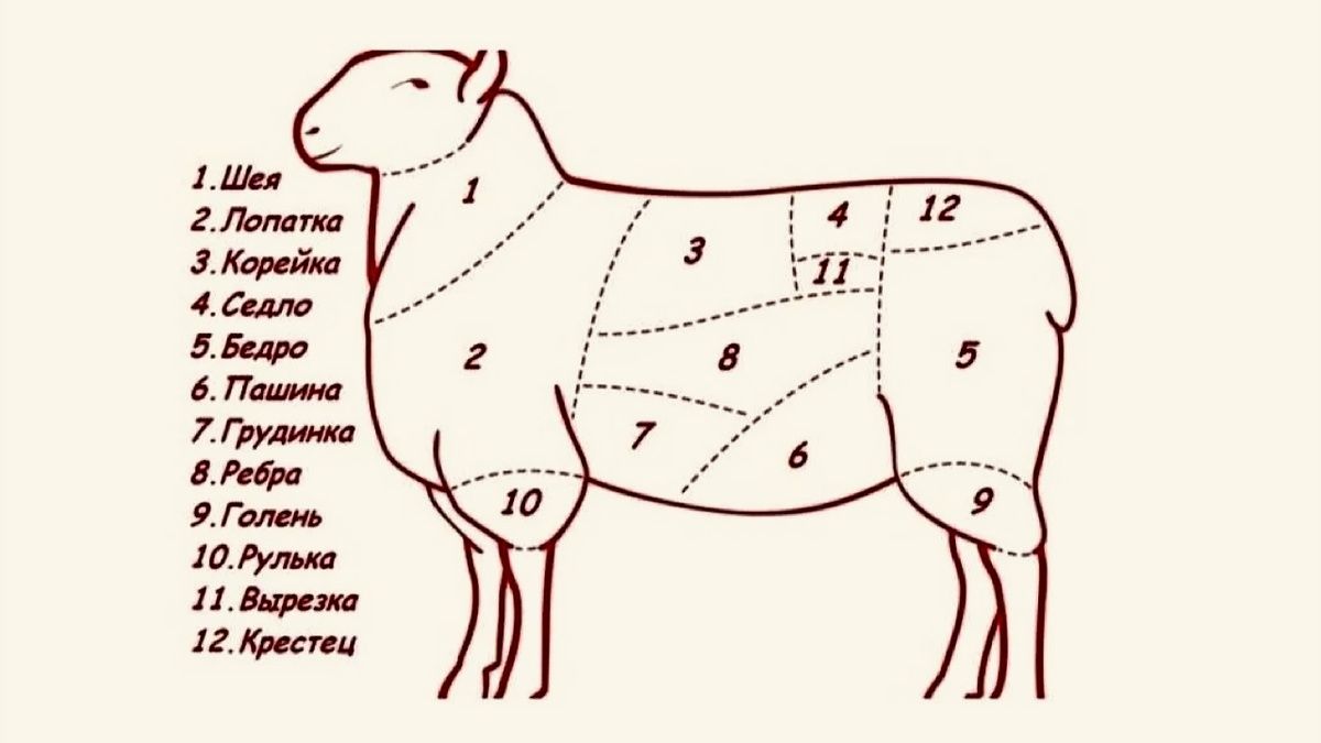 ��� ��������� ������� ����� �������� ��� ������ �����