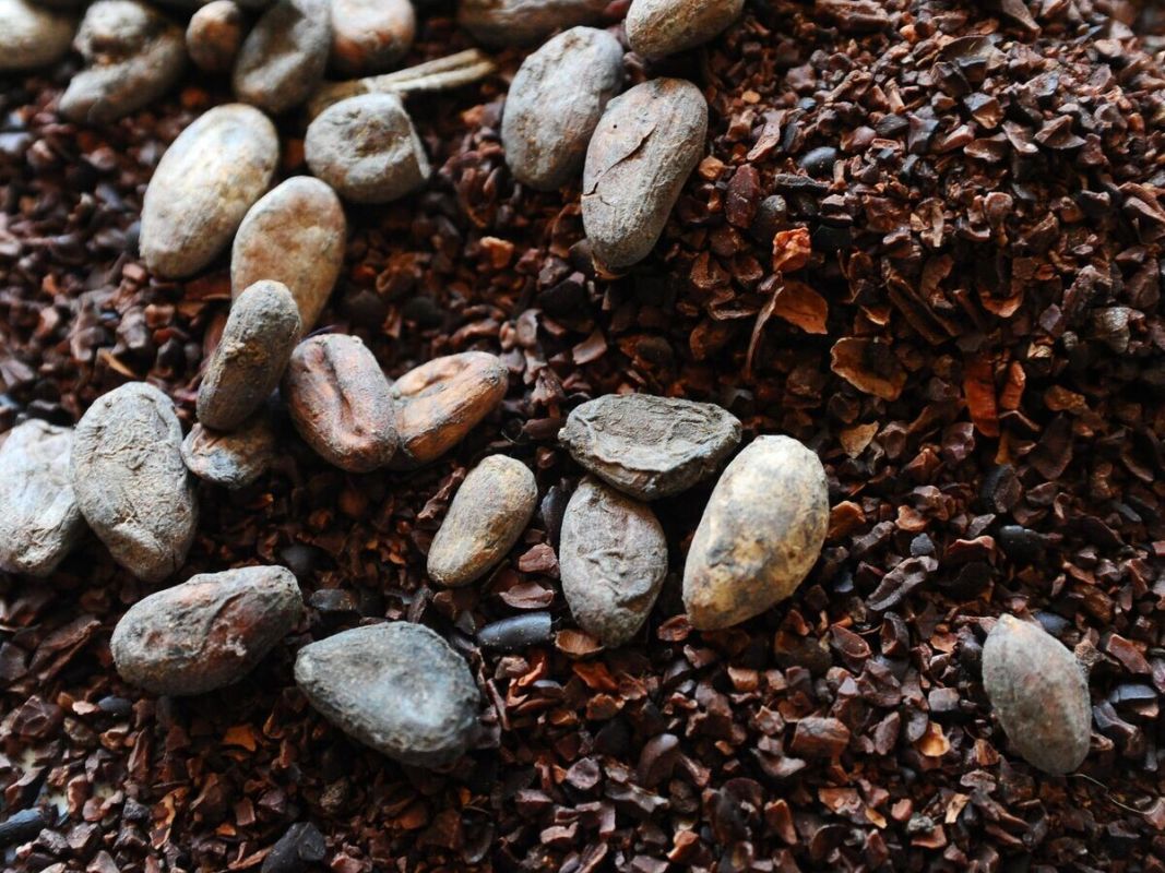 ���� �� �����-���� ������ �� ��������� �������