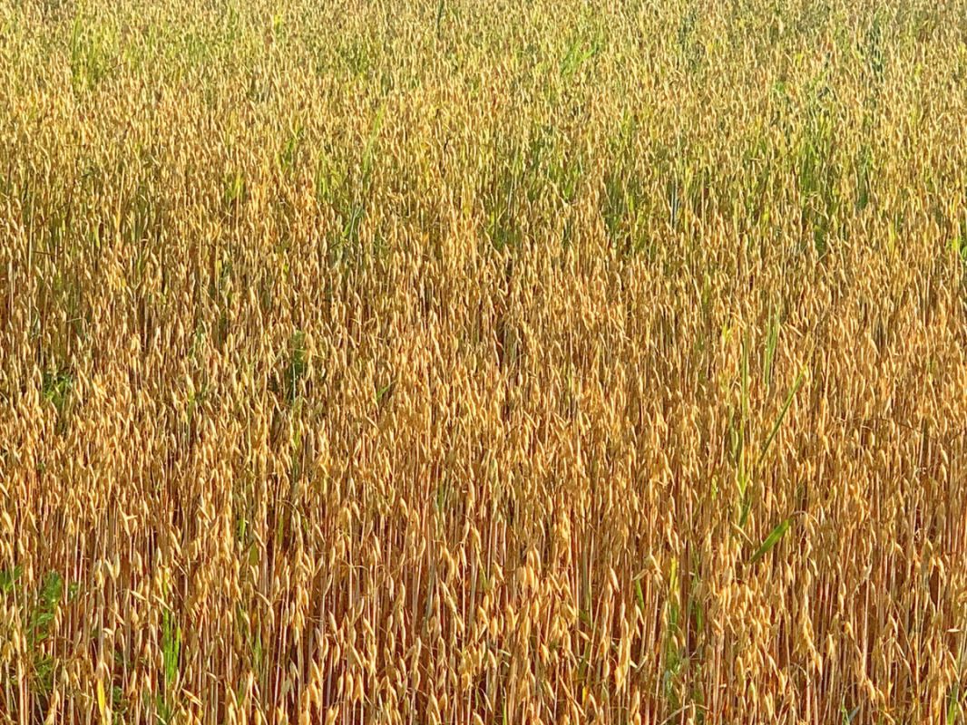 ���: �������� � �������, ������� ���������� �����