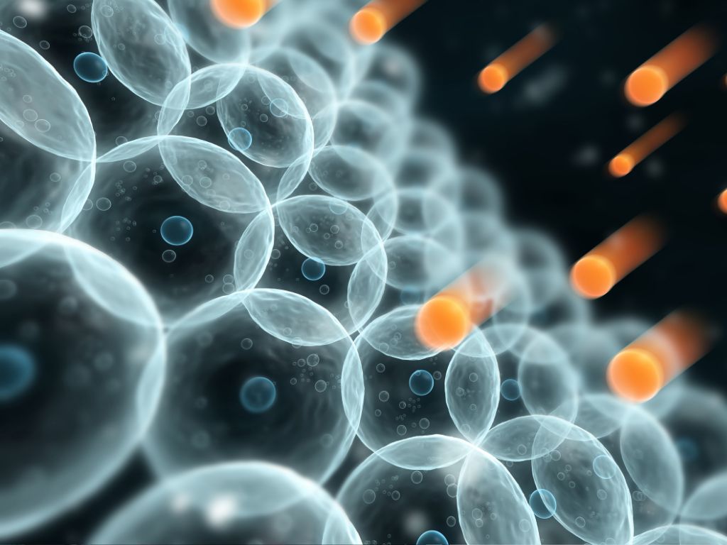 ������ ������������� � ���� ������ ��������� �� �����