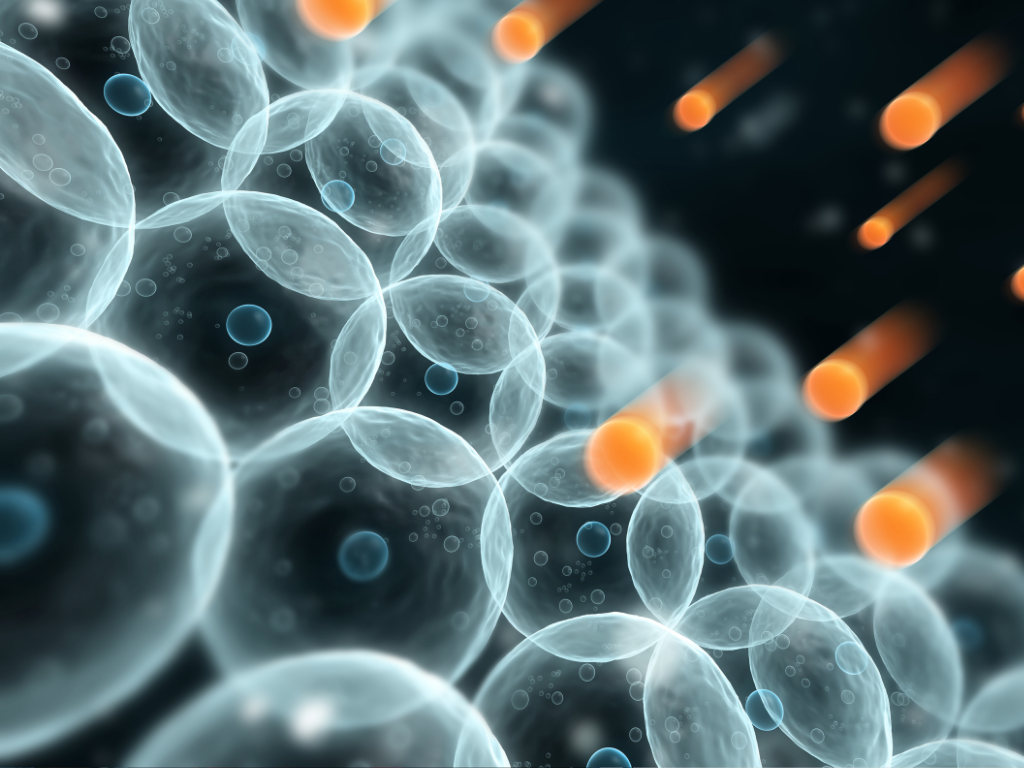 Почему антиоксиданты — ваши лучшие защитники на кухне