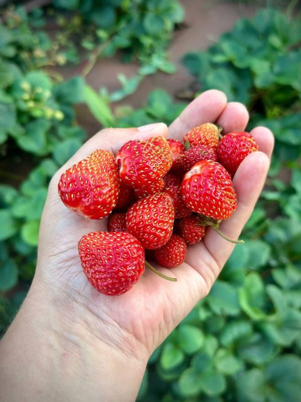 ��������� �� ����� ����: ��� ���������� ����������� �����