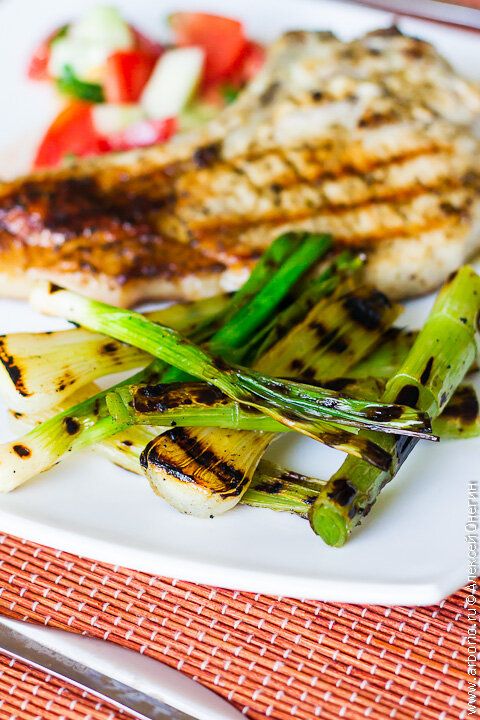 ���-����� �� �����: ������������ ������������ �������� �������