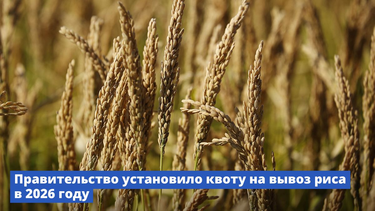 ����� �� ������� ���� � ������: ����� ���������� �������������