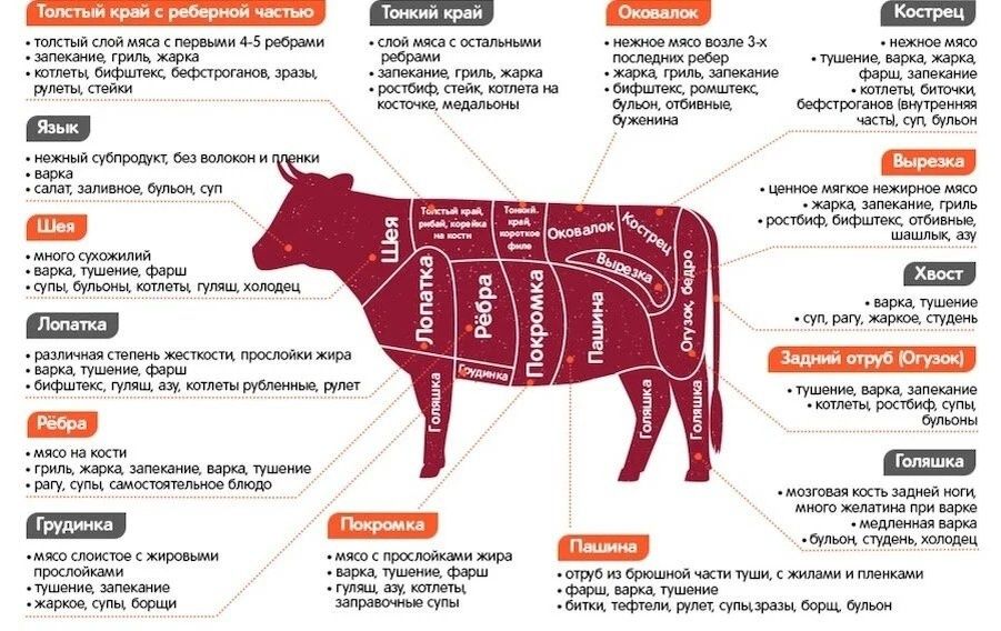 ��������: ��� ������� ����� ��� ������� �����