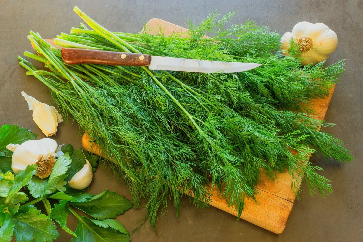 ����� �� ������ ���� �� ����