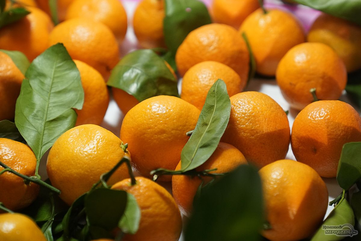 �� ����� ������������ ��������� ������ ���������� � ������ ����