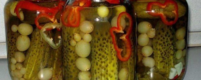 ������������ ������ � �����-����� � ���������� ������: �������� ��� ���� ����� ����