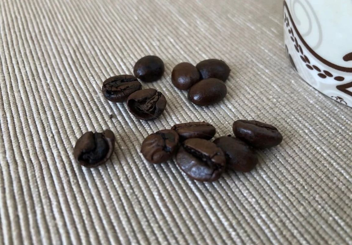 ���� ����� ���������� �� ����: ������������ ������������