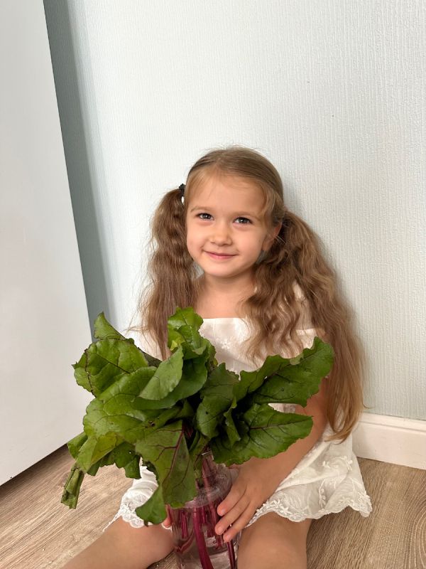 ���������� �����: ������ �������� � ����� ����