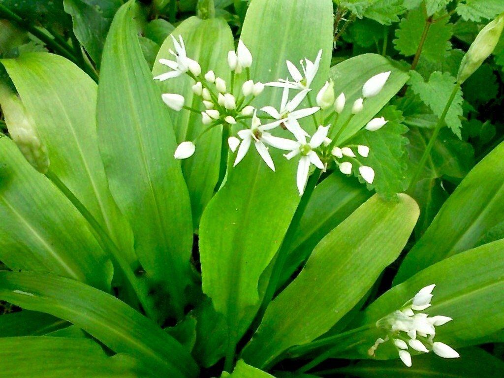 �������: ������� ������������� � ������������ ������� ��� ����������