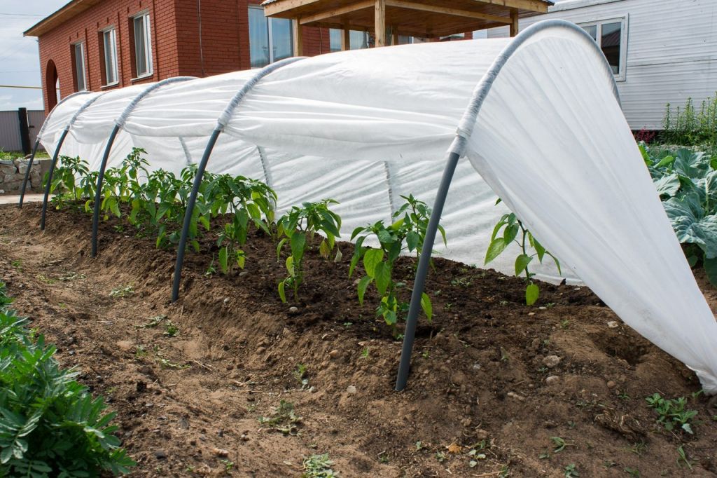 ��� ��������� ������� �������� �������� ��� ������ ����