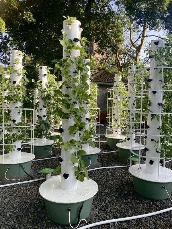 �������: ������ �������� ���� �� ����� �����