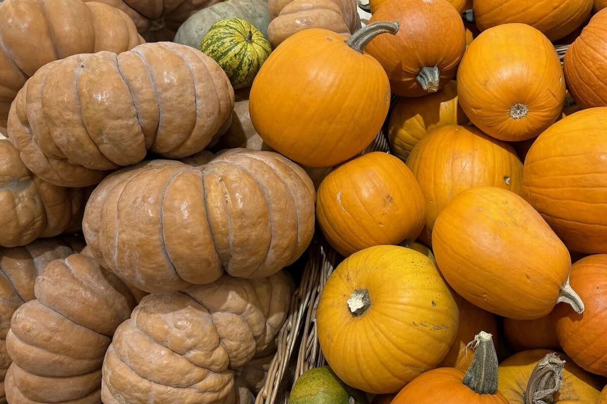 �����: �� ����������� ��������� �� ����������� �������