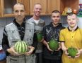 Молодые садоводы: в Ладвинском детском доме вырастили первые арбузы