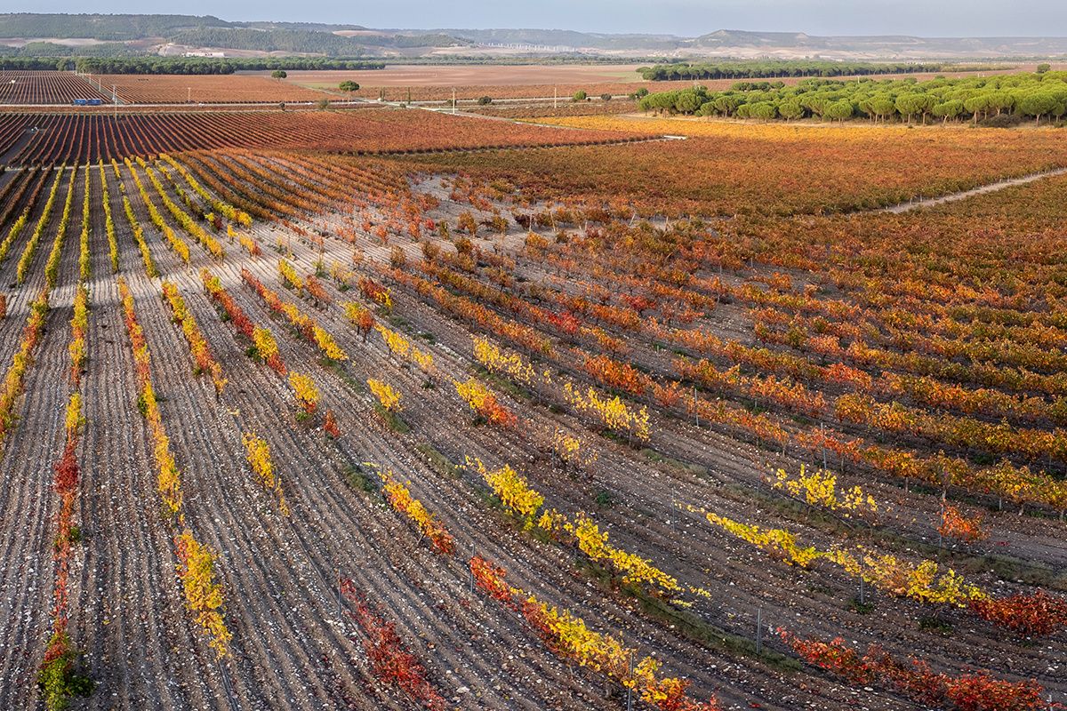 �������� ��� ���� ��� �������� ����� ���������� ����