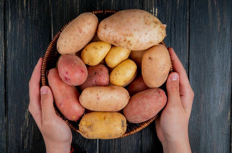 ����� �������� ������ ���������� ���� �� ��������?