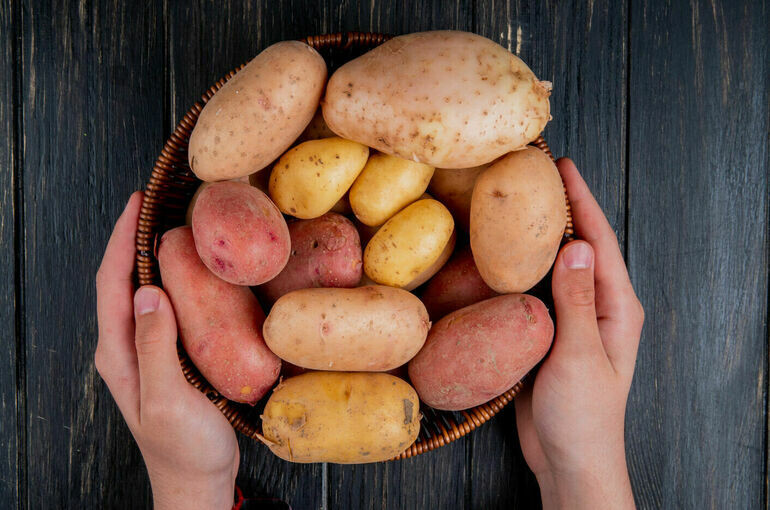 Когда россияне увидят стабильные цены на картошку?