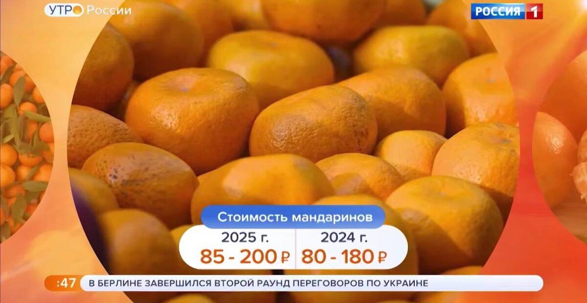 Мандарины к новогодним праздникам: выбор стал проще и дешевле